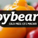 The image shows a Joybear cold press juicer machine, perfect for a simple guide.